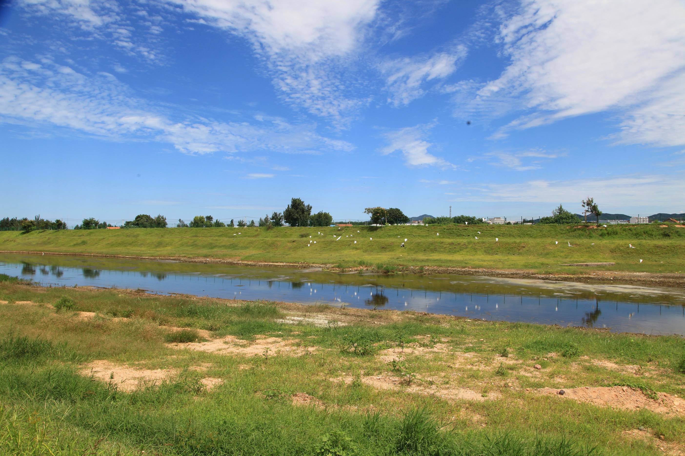 山东烟台龙口市:秋日黄水河_保护_中国经贸_来源