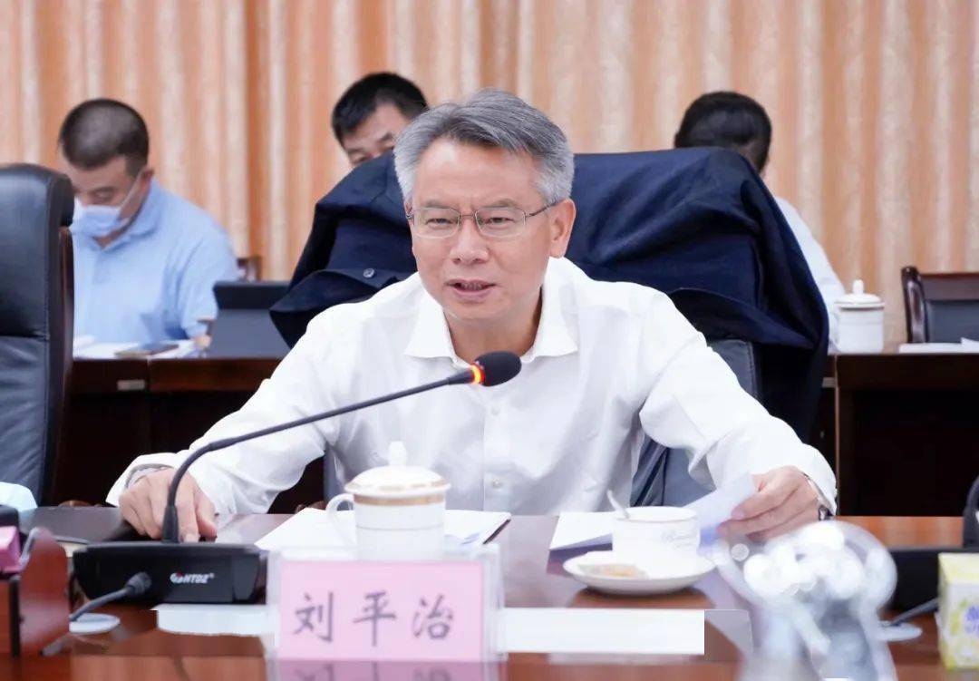 副省长刘平治到澄迈县开展服务督导经济专项工作_建设_项目_生产