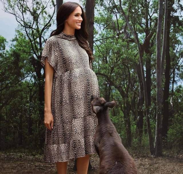 梅根又高调,穿豹纹裙拍孕妇照想方设法博眼球,5月孕肚似7月大_英国