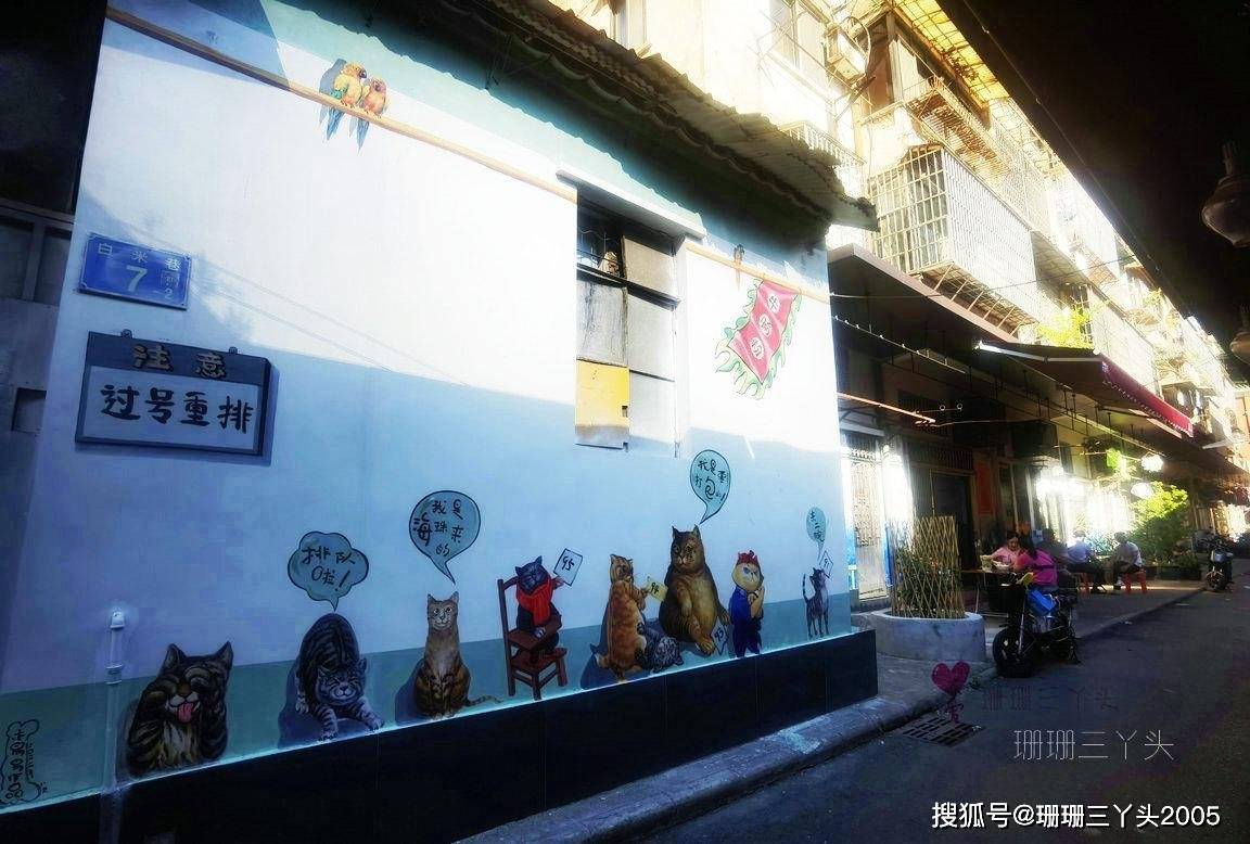 广州这条小巷突然“火”了，不卖米改卖萌，有成群猫咪“爬上墙”