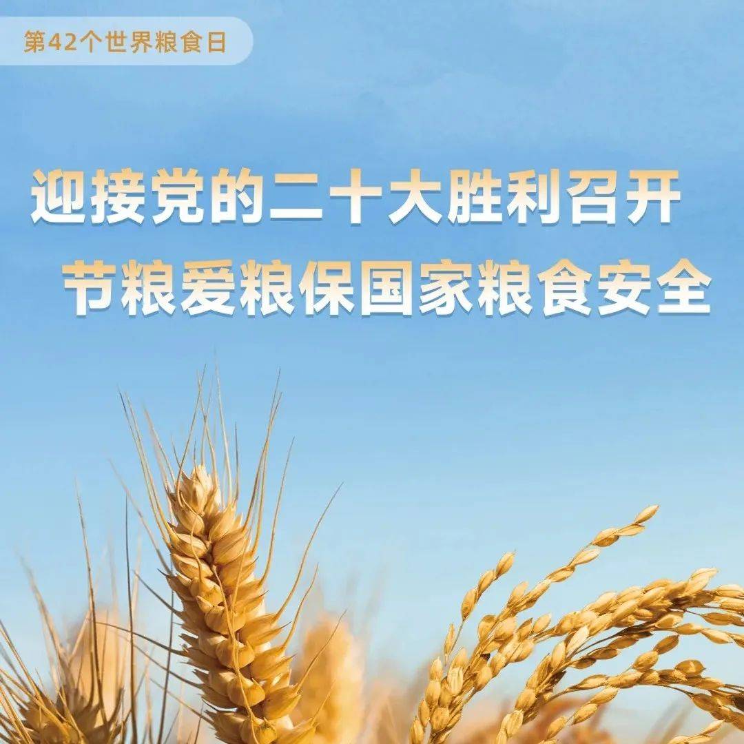 世界粮食日丨节粮爱粮在行动 公共机构做表率_机关_事务_赣州