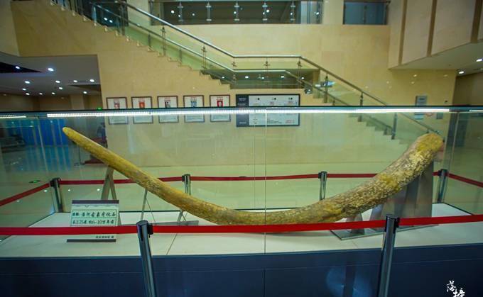 安徽泗县有一座博物馆，展品丰富，沉淀了这座城市的历史文化