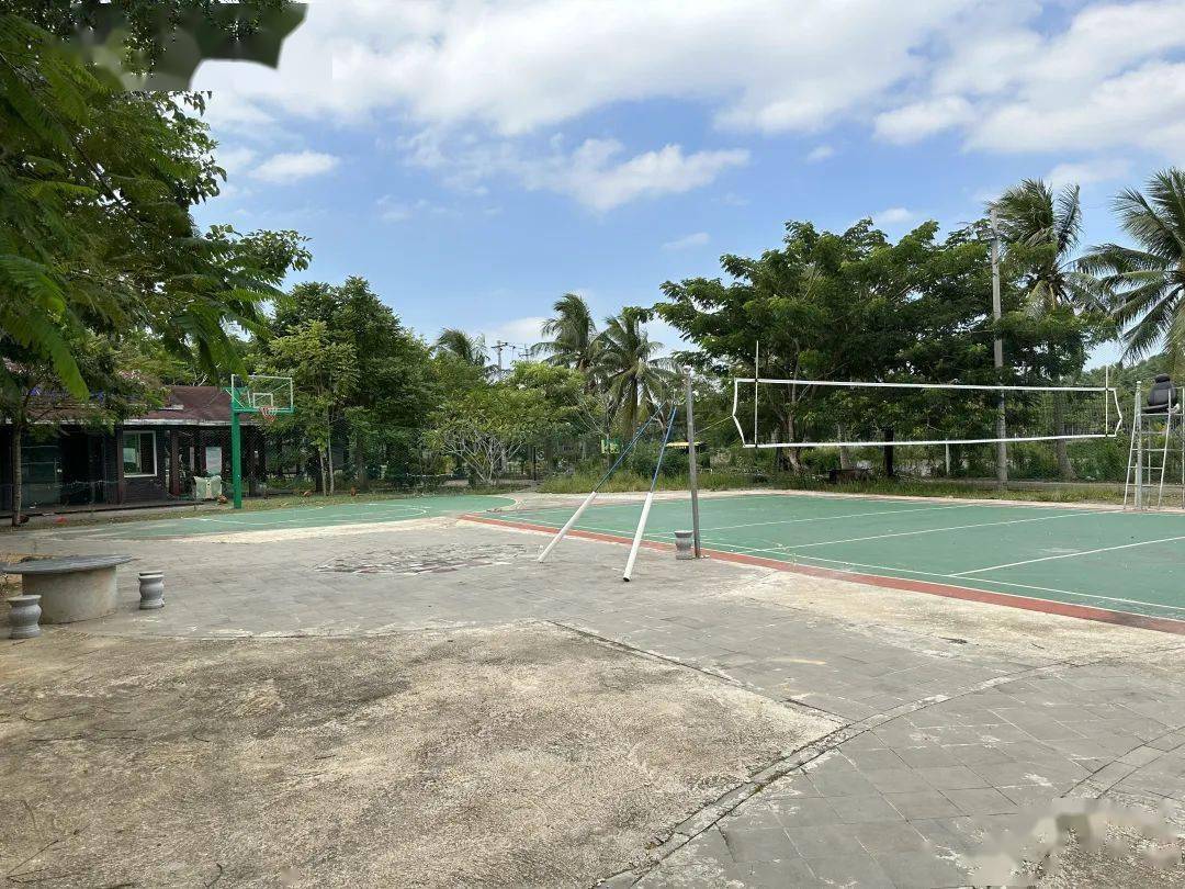 幸福大联唱 献礼二十大|万宁市大茂镇群星村:积极探索发展特色产业