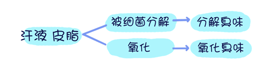 吕易圣狐臭灵|【腋下管理指南】顶顶的好用！_汗腺_味道_食物