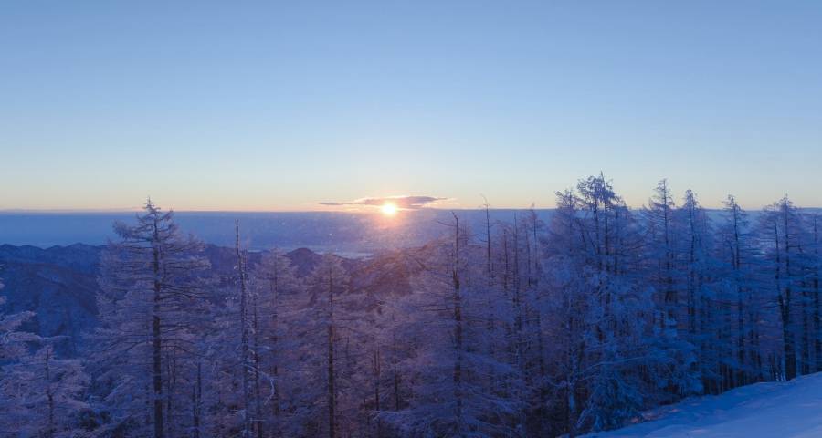 家电产业的市场竞争新格局出现-家电圈官网