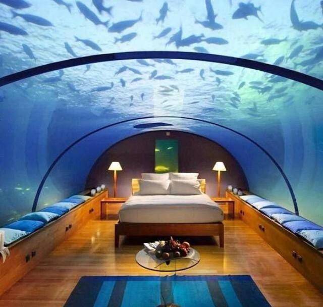 建在海底的酒店，可与鱼群同眠，可惜住一晚需要4万块