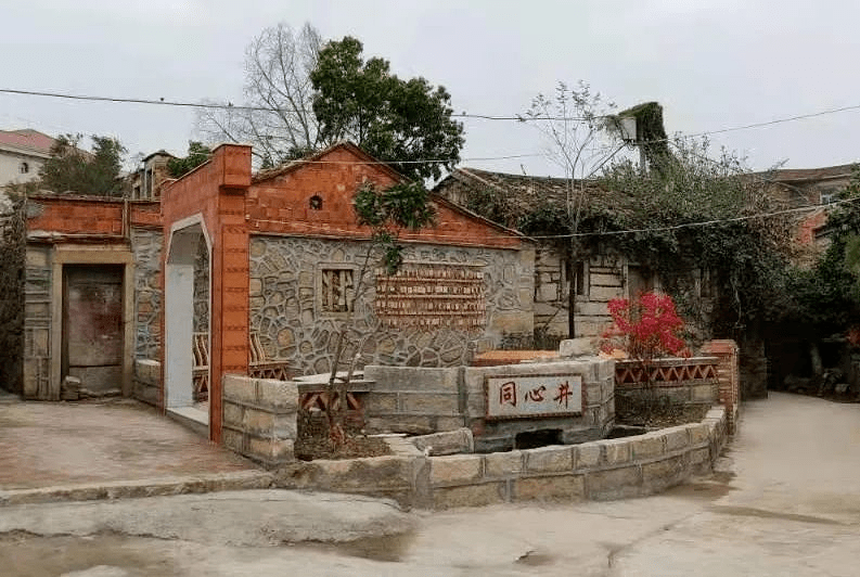 鎮淨北村美麗田園位於淨北村後園生產基地,今年3月以來,惠安縣箐園