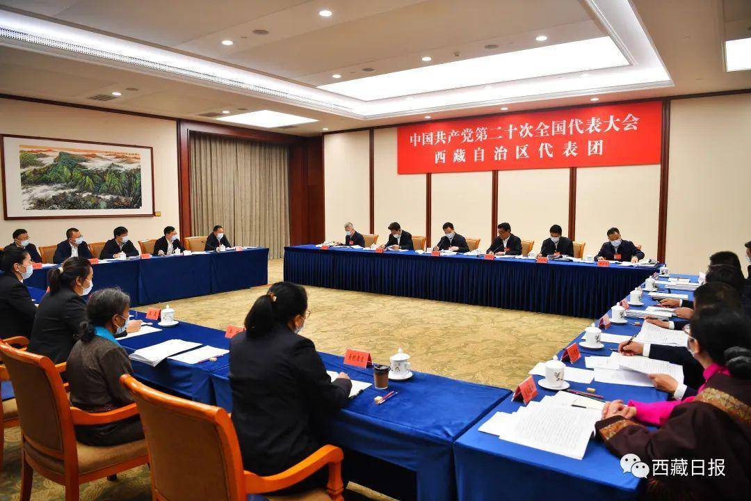 白玛赤林参加党的二十大西藏代表团讨论