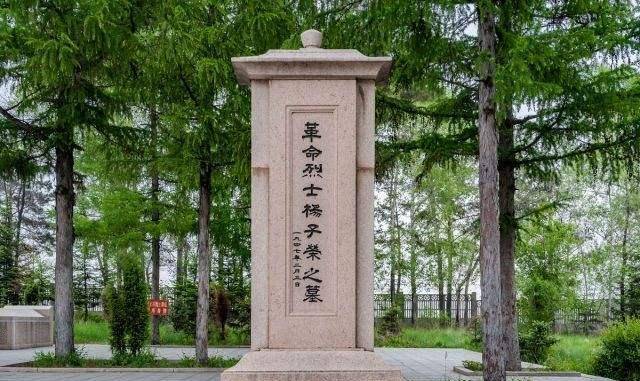 杨子荣戴礼帽穿黑棉袄,家人背黑锅,母亲到死不知戏里杨子荣是他