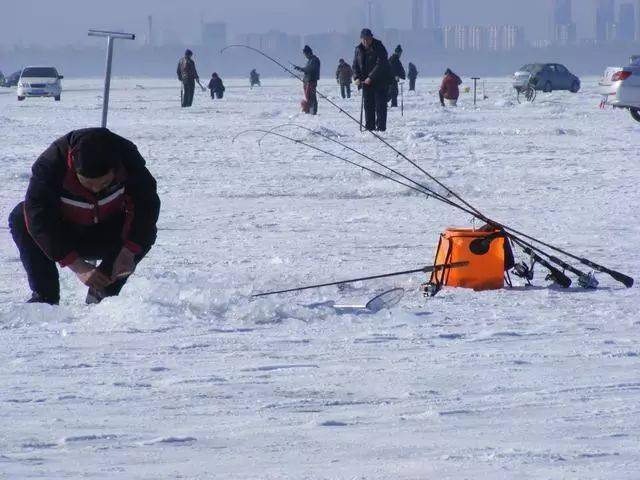 秋冬钓鲫鱼那6个野路子，说不定派上用场，大板鲫饿着肚子等你