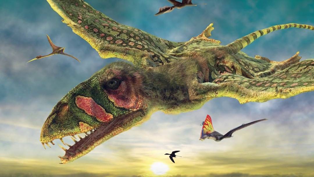 重新认识一下侏罗纪世界里的空中霸王!recur悦酷翼龙来袭!