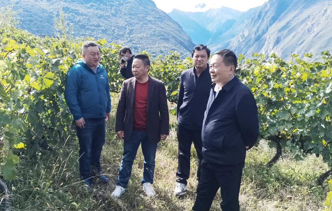 丹巴县县委书记黄杰,县委副书记邓铭,康定红吕董事长等一行在葡萄园