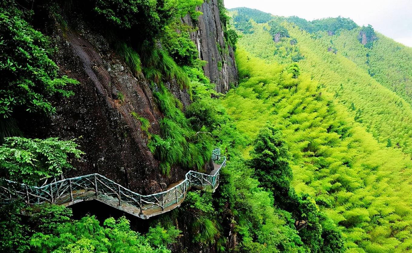 丽水最值得去的景区,瀑布景致各异,石林仪象万千_旅游_南尖岩_景色