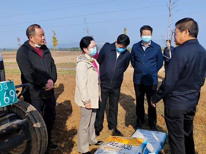 孙矿玲在礼泉县调研时强调抢抓农时加快秋收秋播 立足实际推进果业