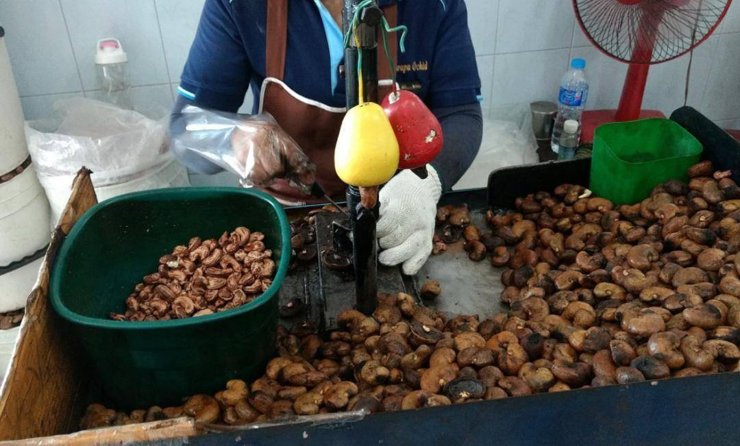 用机器剥腰果,也必须戴上手套丨wikipedia / lauren hudgins随着对