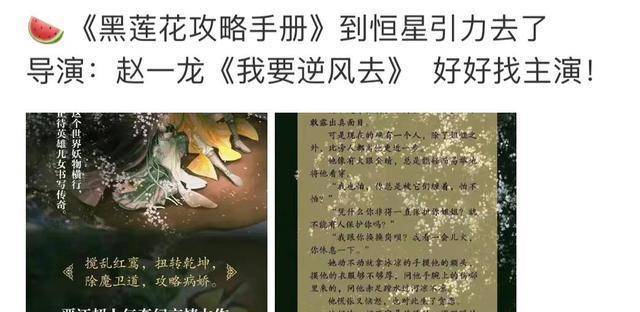 网传《黑莲花》出品方恒星引力，男女主陈哲远沈月呼声更高？