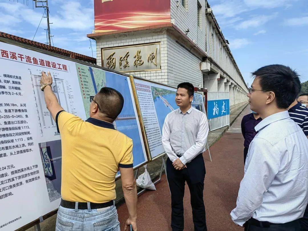 龙海区长调研山水林田湖草沙项目_生态_陈艺章_建设