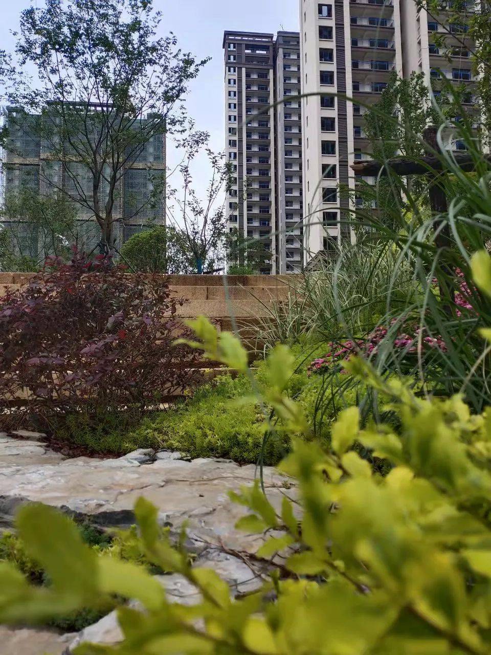 尚湖湾尚书院风景园林 | 这才是小区园林该有的样子!