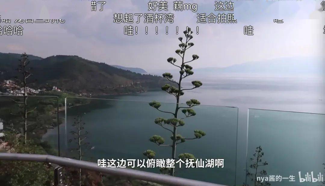 测验考试摆烂式旅游后，我爽死了