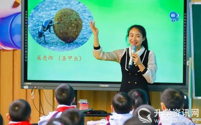 成都东部新区小学语文课外整本书阅读教学优良课展评在三岔湖小学举行