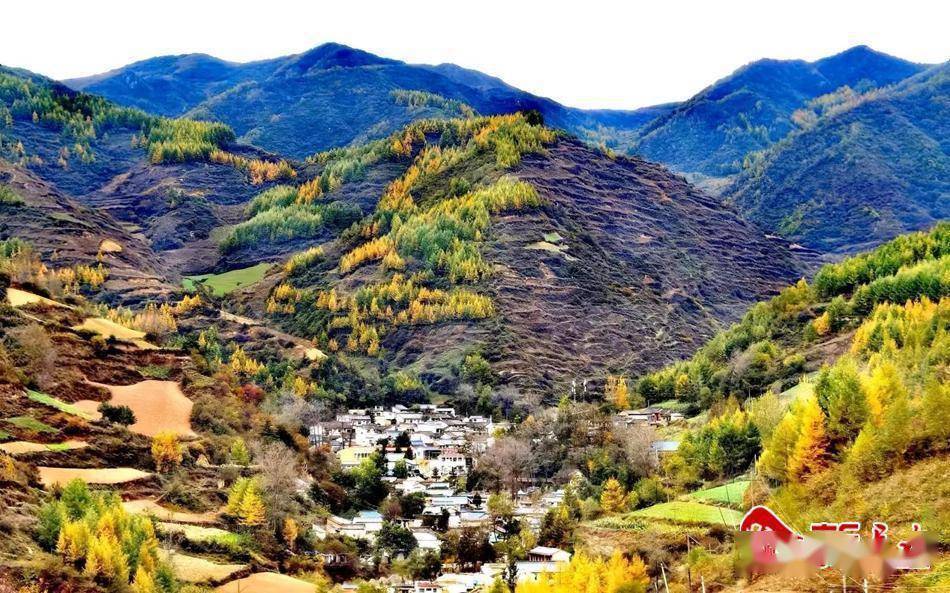 武山县温泉镇:层林尽染秋如画_色彩_胜景_棋盘