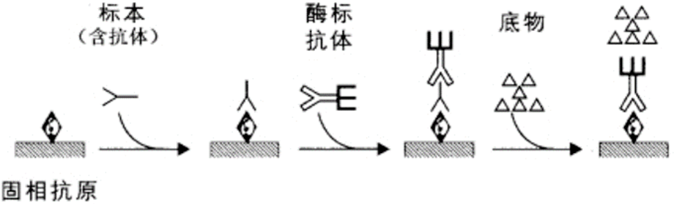 【整理】体外诊断试剂化学发光常用的化学试剂_反应_鲁米诺_化学能