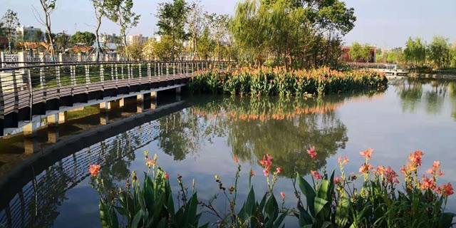 跟着青浦推出的“环城水系”打卡点，领略江南水文化