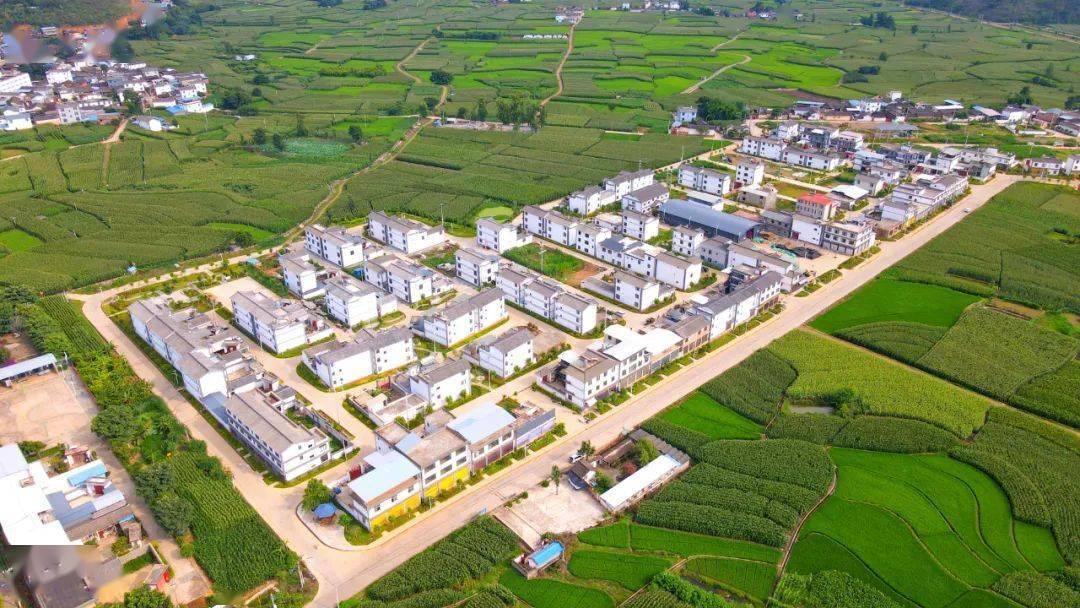 【非凡十年】鹤庆黄坪镇:"热区小镇"唱响发展之歌_建设_产业_保障