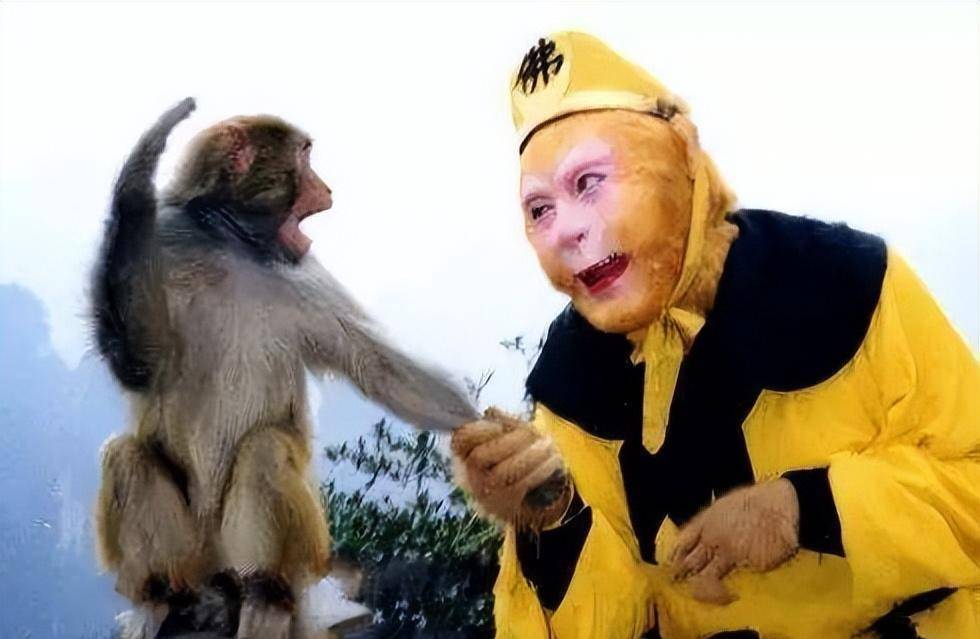 电影_经典_真猴子