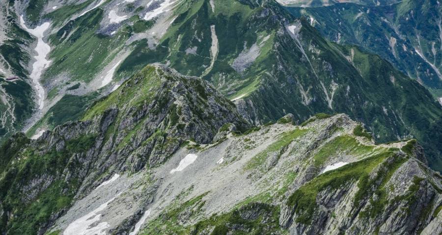 家电双11大战开启：三星格兰仕创维求新，美的海信小米TCL谋变-家电圈官网