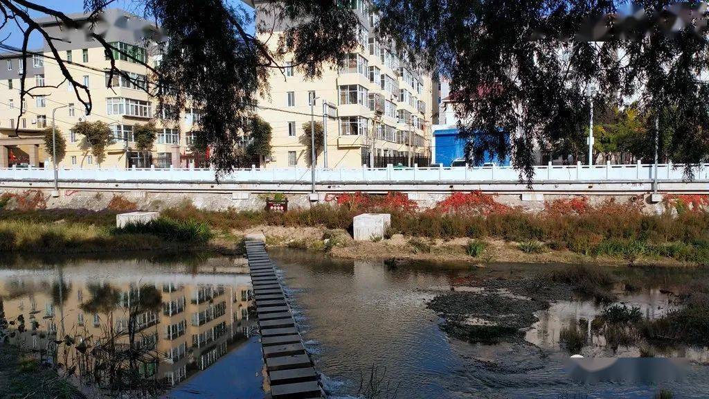 秋到銅川 你身邊的美景_新橋_印臺區_道路