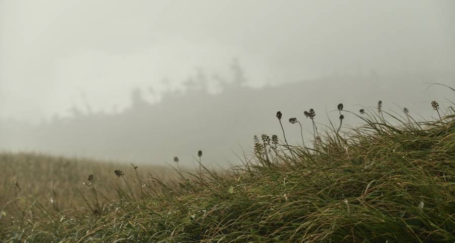 双11前夜，高端家电的价格乱战提前打响！-家电圈官网