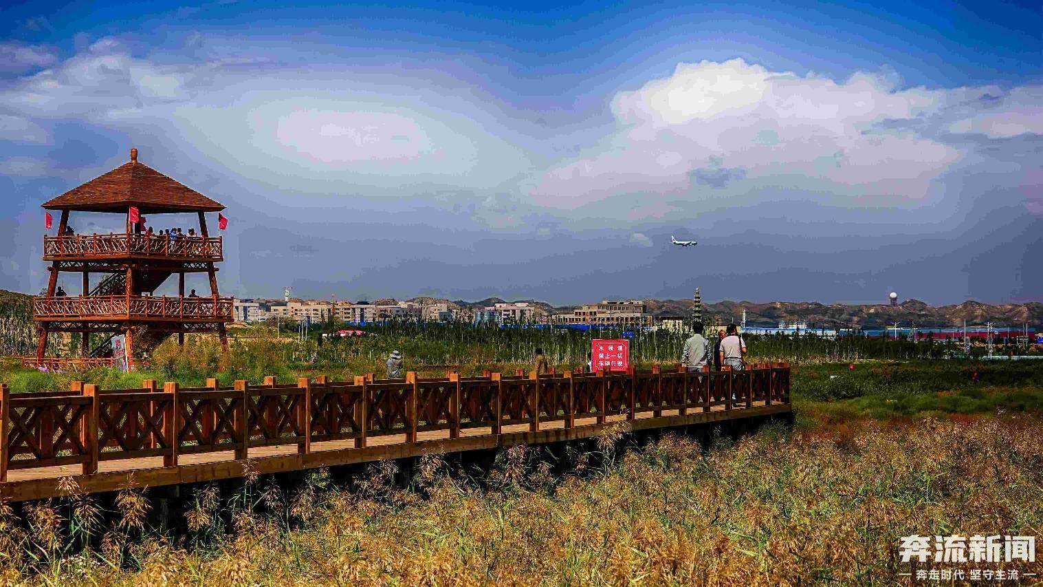 兰州新区秦王川国家湿地公园秋景美如画_周边_包括_游客