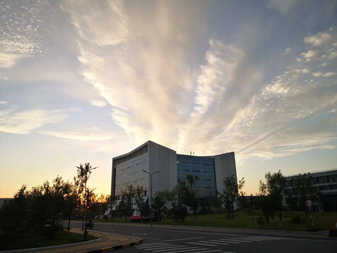 校园秋景 | 山东铝业职业学院的秋景等你来赏!