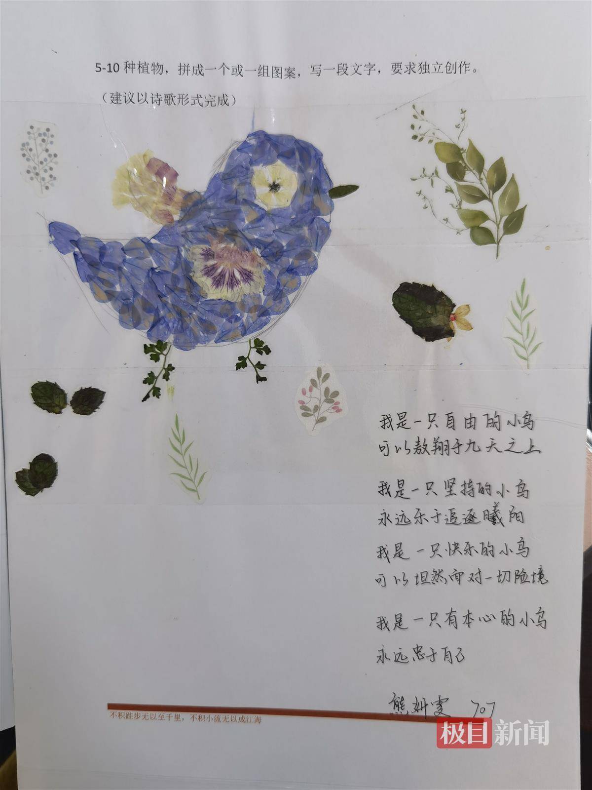 花草功课、古诗配画，语文特色功课激发学生兴趣