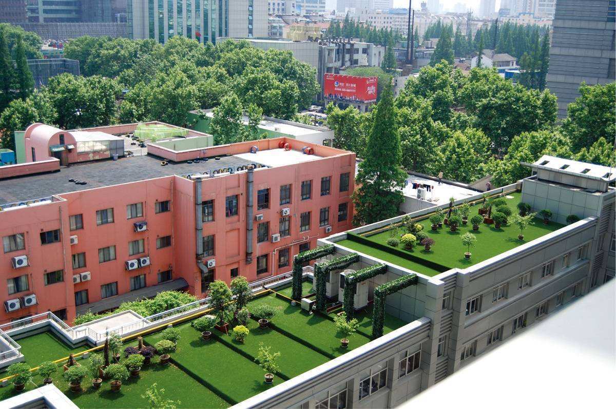 美化环境的屋顶人造草坪_绿化_绿色_生活