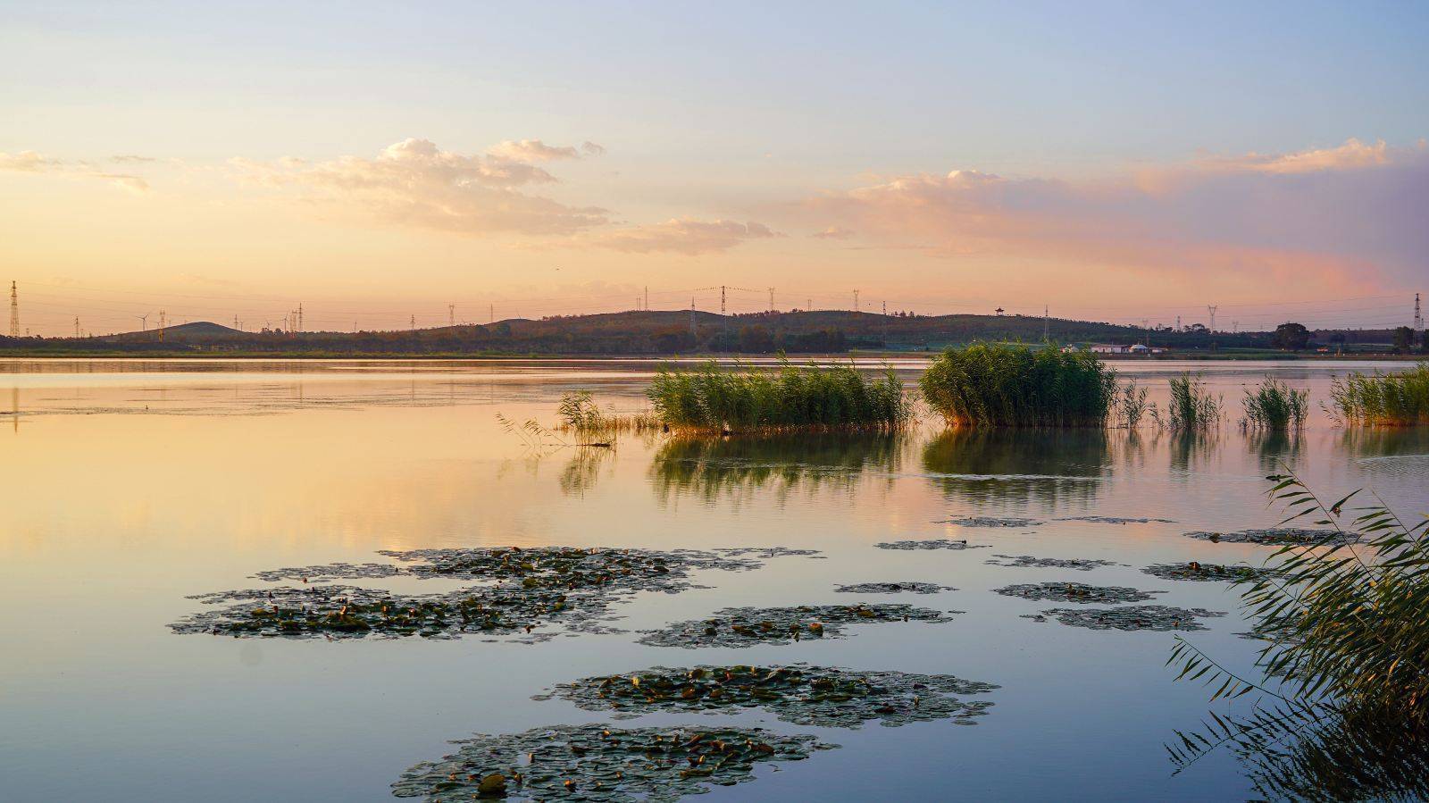 塞上卧龙图 | 康保风景:不能错过的坝上景点指南!_康巴诺尔_特色_草原