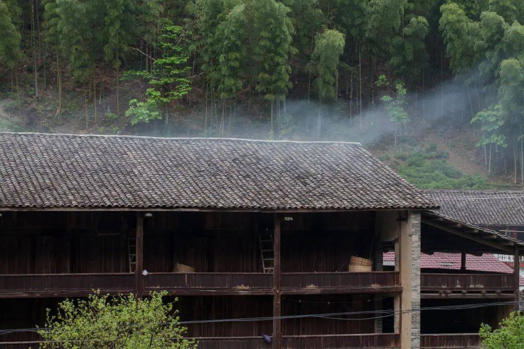 探秘桐木关"青楼",找回正山小种的松烟桂圆香_武夷山_传统_桐木村