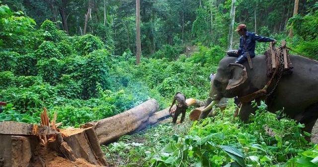 古代中国已经占领云南,为何不顺带进攻印度出海口,直