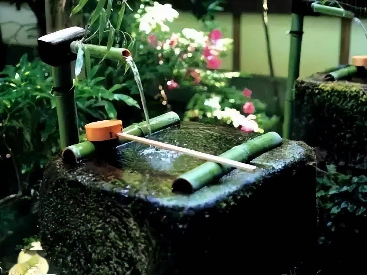 如何用竹子打造日式庭院?_元素_网络_案例