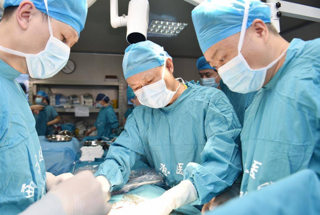 西京医院成功实施国际首例六基因编辑猪-猴多器官,多组织同期联合移植