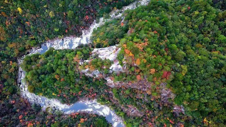 金寨龙井河大峡谷秋景怡人……_悬崖_水潭_大自然