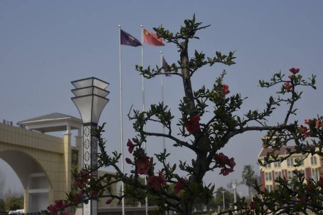 记淅川德威书院夜景游记