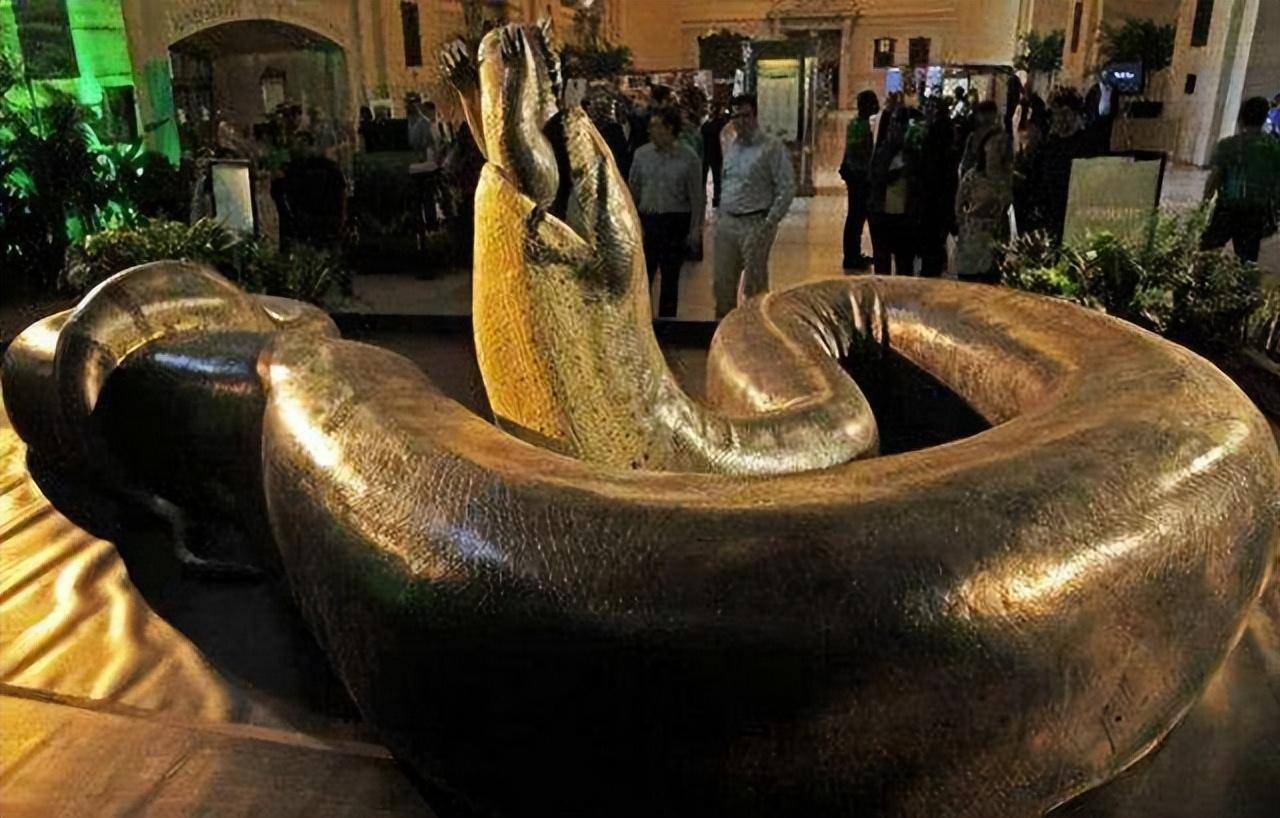 2米蟒蛇游荡_实验_人类_事件