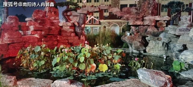 记淅川德威书院夜景游记