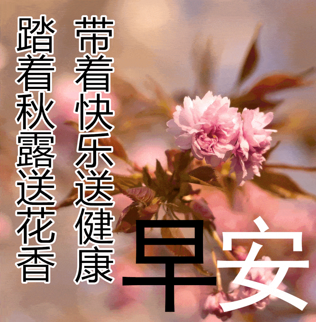 10月26日秋天早上好动态表情图片大全,早晨好动图美图大全_人生_心情