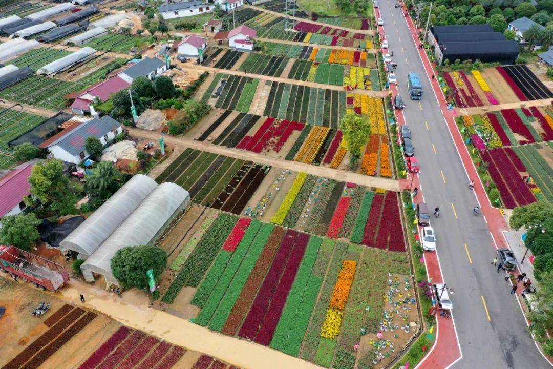 桂林公交将开通临时花卉基地专线_解放东路_主会场_陶园