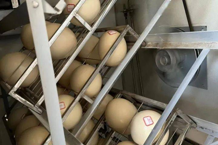 孵化器中的鸵鸟蛋关于未来,他憧憬道:"下一步,我计划在扩大养殖规模的
