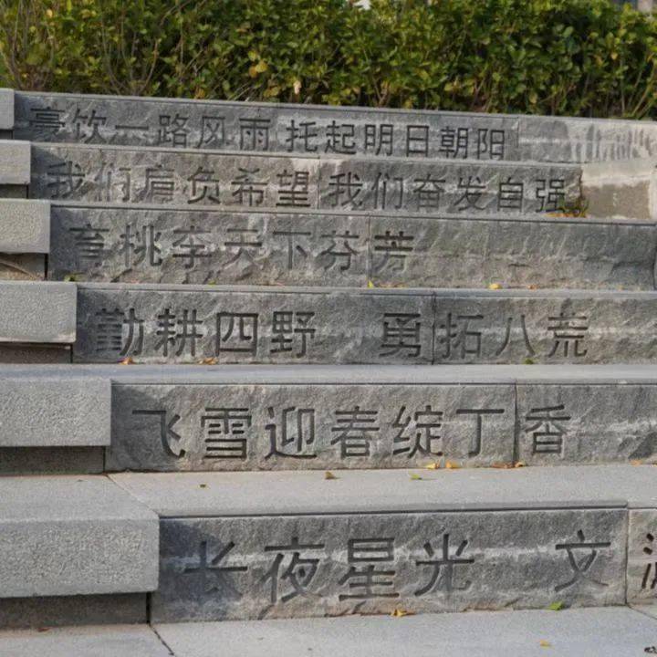 看看朋友圈里的山大模样_校园_美景_杨瑞