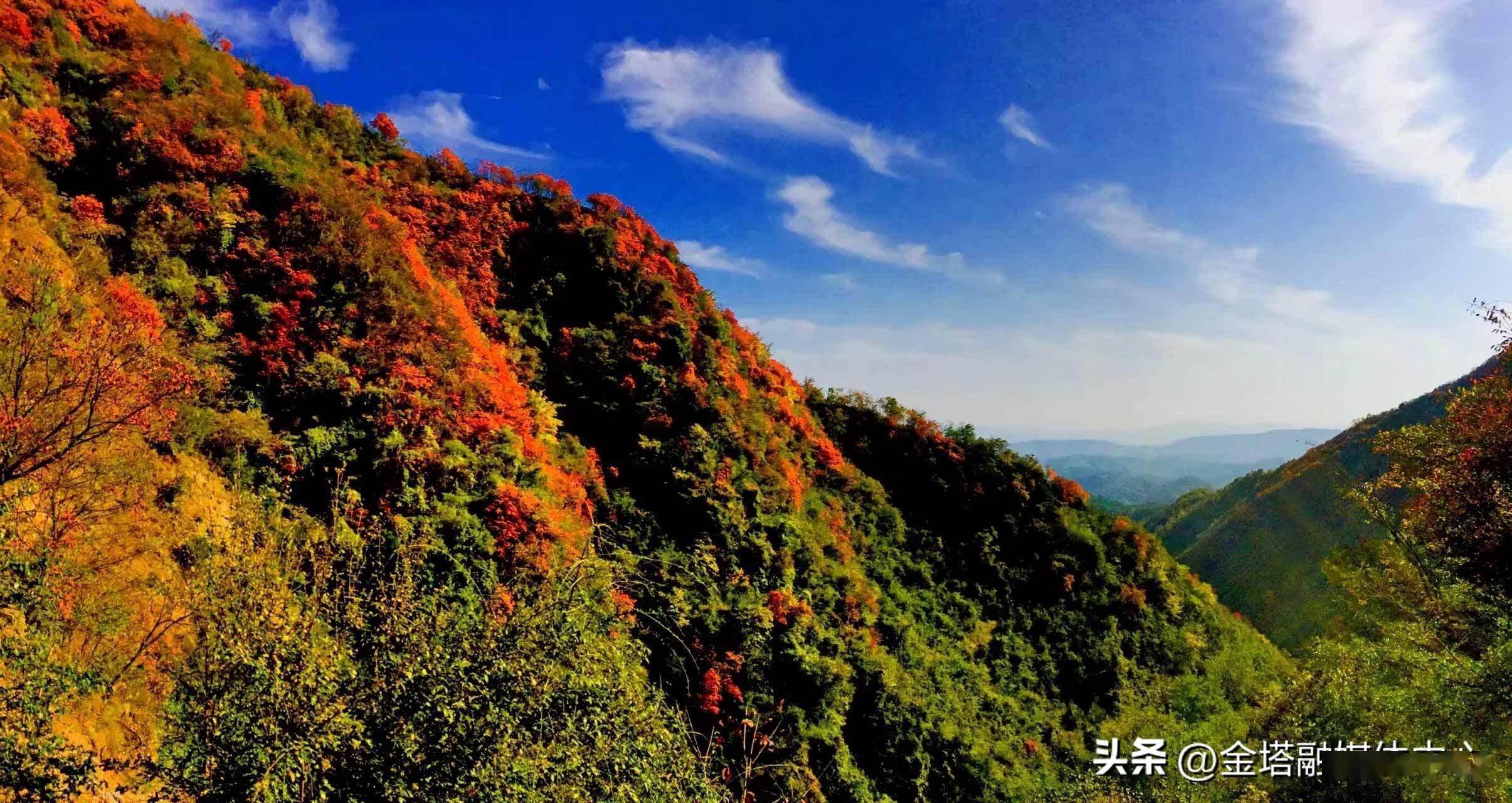 「灵秀湖北·荆楚山川」湖北郧阳:层林尽染秋光美